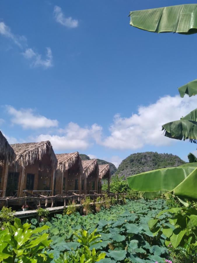 Hang Mua Lotus Homestay Νιν Μπιν Εξωτερικό φωτογραφία